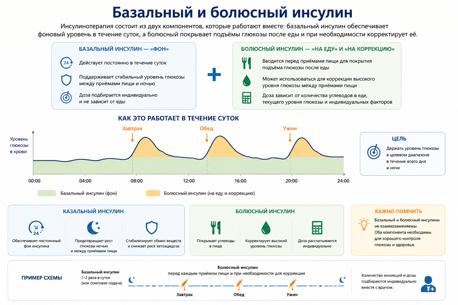 Схема работы базального и болюсного инсулина: фон, еда и коррекция решают разные задачи.